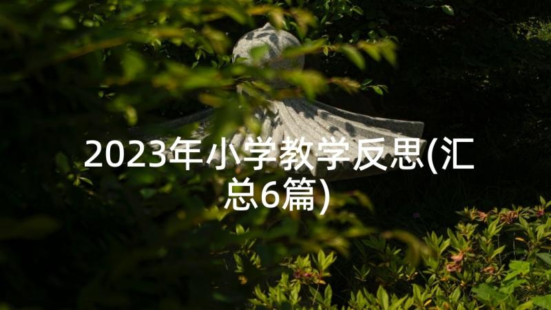 2023年小学教学反思(汇总6篇)