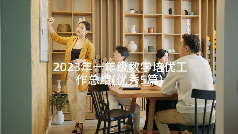 2023年一年级数学培优工作总结(优秀5篇)