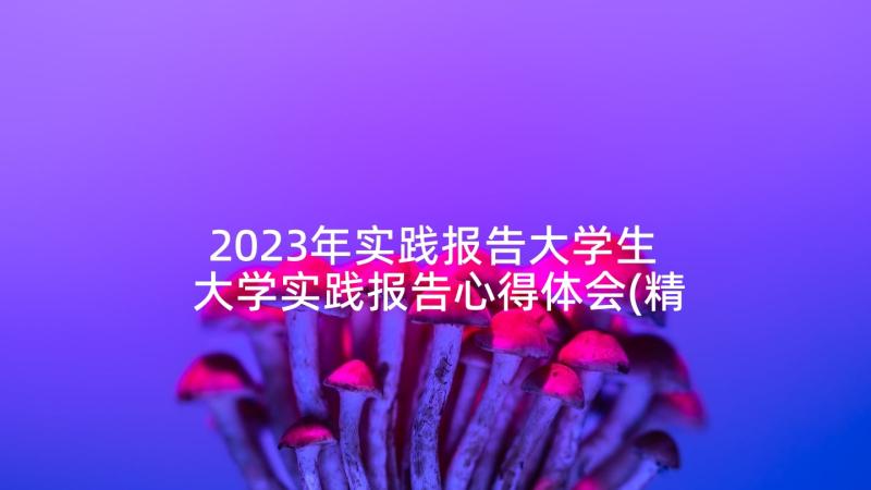 2023年实践报告大学生 大学实践报告心得体会(精选9篇)