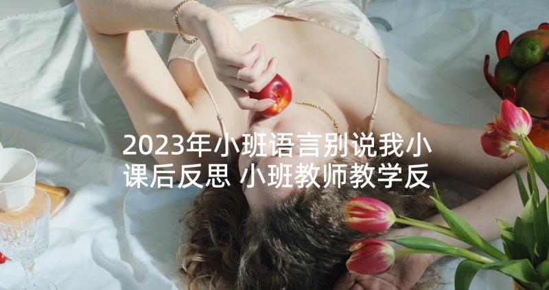 2023年小班语言别说我小课后反思 小班教师教学反思总结(汇总5篇)