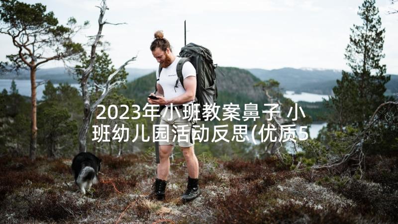 2023年小班教案鼻子 小班幼儿园活动反思(优质5篇)