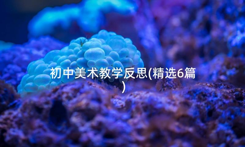 初中美术教学反思(精选6篇)