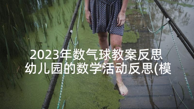 2023年数气球教案反思 幼儿园的数学活动反思(模板7篇)