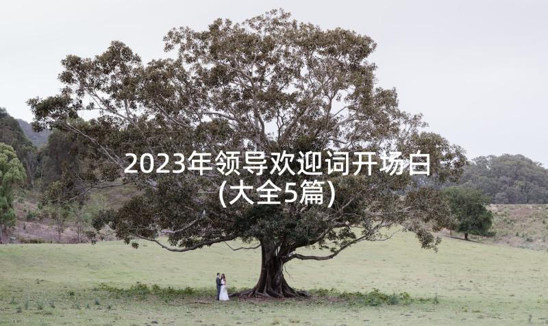 2023年领导欢迎词开场白(大全5篇)