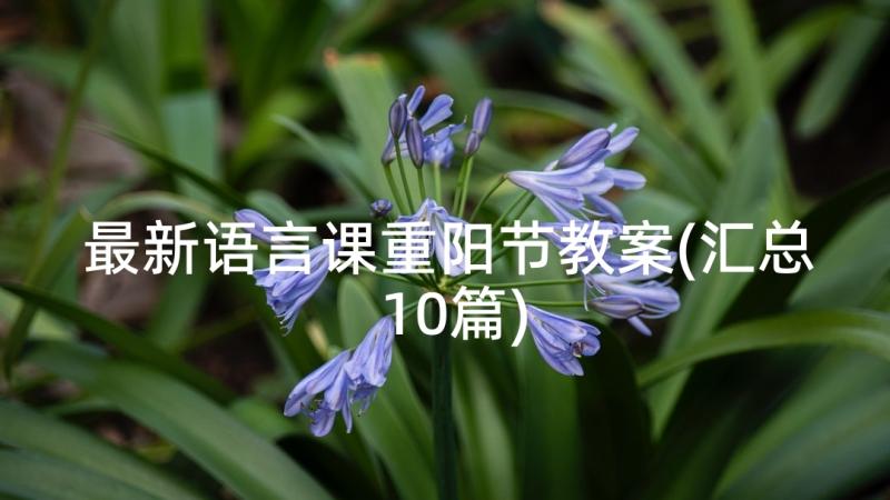 最新语言课重阳节教案(汇总10篇)