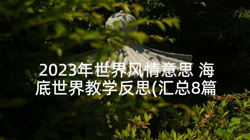 2023年世界风情意思 海底世界教学反思(汇总8篇)