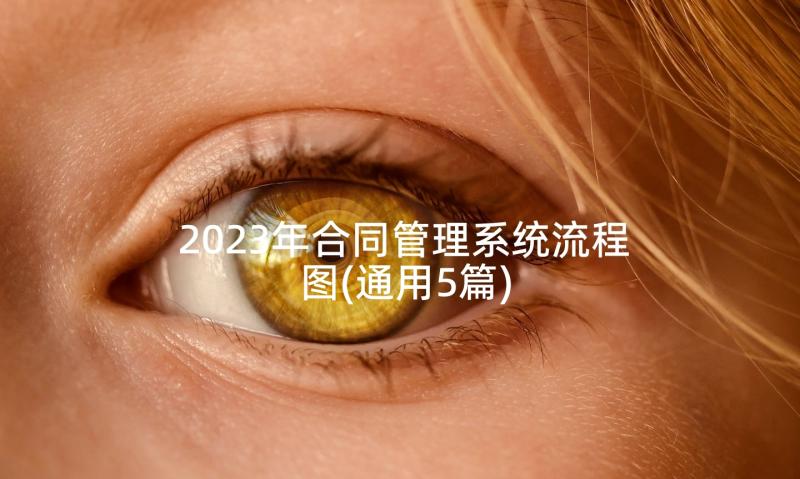 2023年合同管理系统流程图(通用5篇)