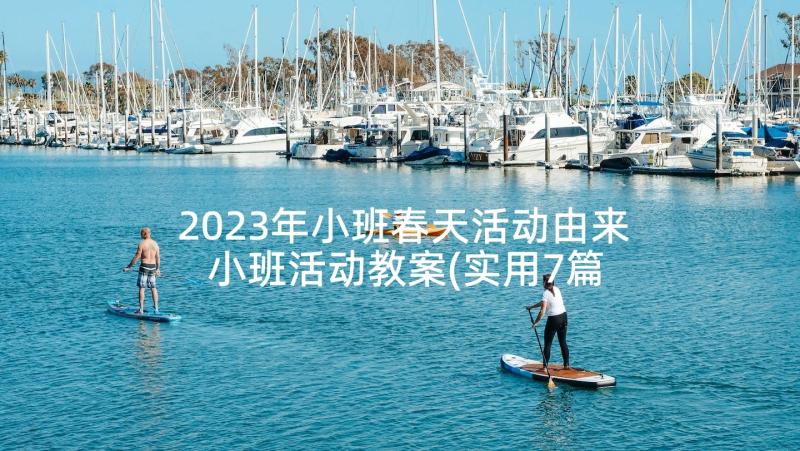 2023年小班春天活动由来 小班活动教案(实用7篇)