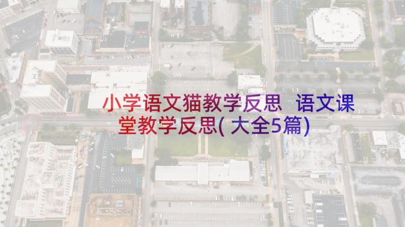 小学语文猫教学反思 语文课堂教学反思(大全5篇)