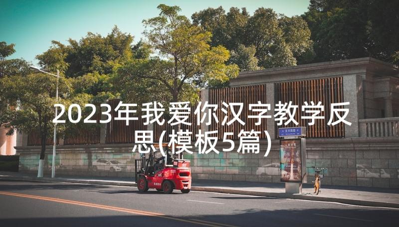 2023年我爱你汉字教学反思(模板5篇)