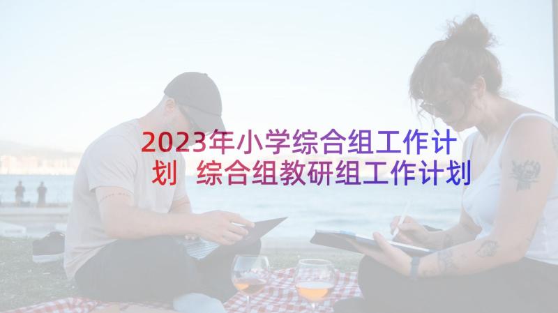 2023年小学综合组工作计划 综合组教研组工作计划(大全5篇)