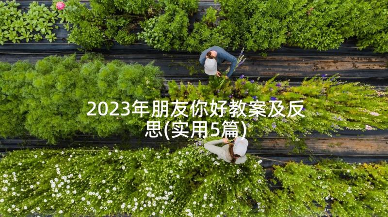 2023年朋友你好教案及反思(实用5篇)