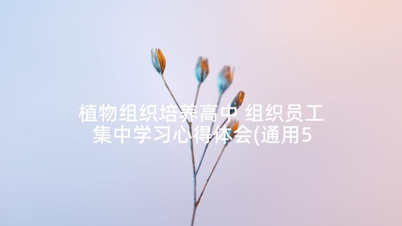 植物组织培养高中 组织员工集中学习心得体会(通用5篇)