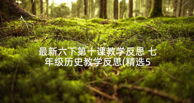 最新六下第十课教学反思 七年级历史教学反思(精选5篇)