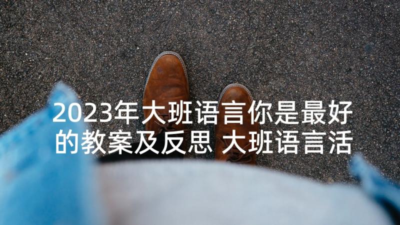 2023年大班语言你是最好的教案及反思 大班语言活动教案(优质5篇)