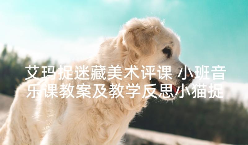 艾玛捉迷藏美术评课 小班音乐课教案及教学反思小猫捉迷藏(实用5篇)