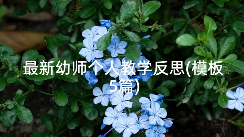 最新幼师个人教学反思(模板5篇)