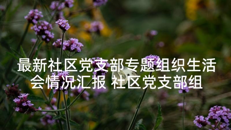 最新社区党支部专题组织生活会情况汇报 社区党支部组织生活会整改方案十(优质5篇)