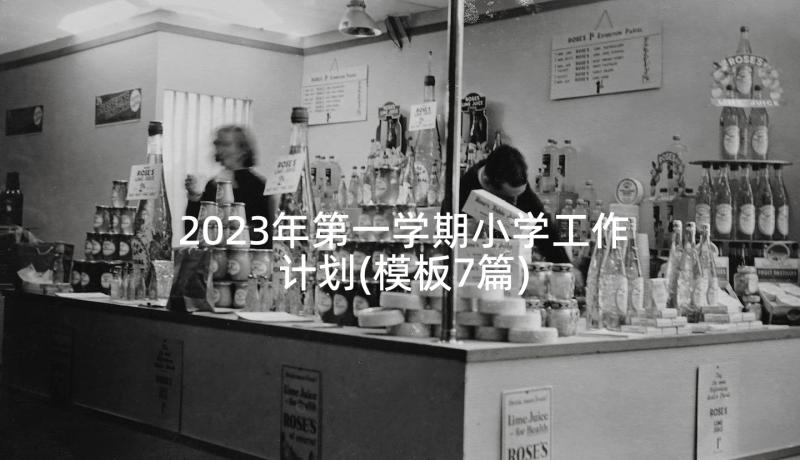 2023年第一学期小学工作计划(模板7篇)