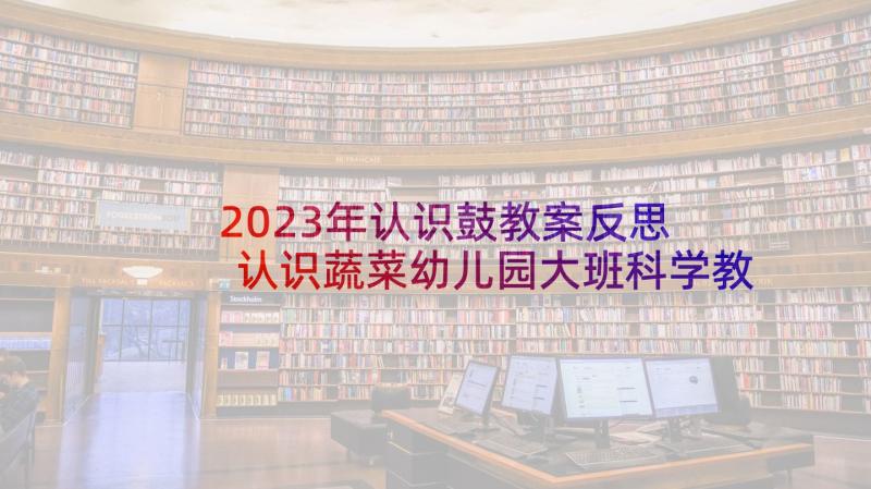 2023年认识鼓教案反思 认识蔬菜幼儿园大班科学教案(模板8篇)