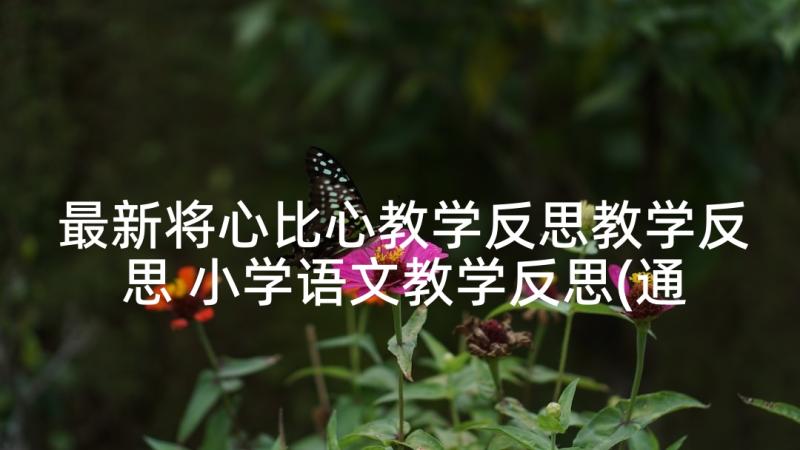 最新将心比心教学反思教学反思 小学语文教学反思(通用5篇)