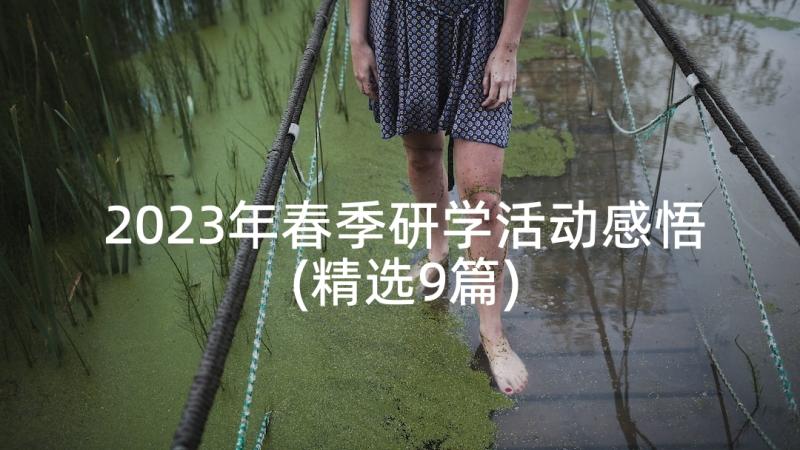 2023年春季研学活动感悟(精选9篇)