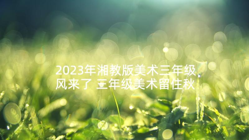 2023年湘教版美术三年级风来了 三年级美术留住秋天的教学反思(优质9篇)