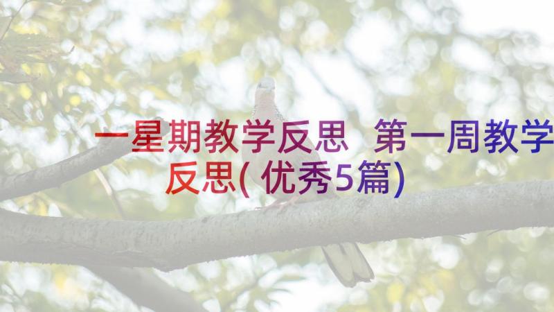 一星期教学反思 第一周教学反思(优秀5篇)