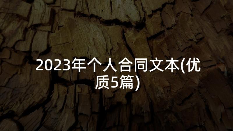 2023年个人合同文本(优质5篇)