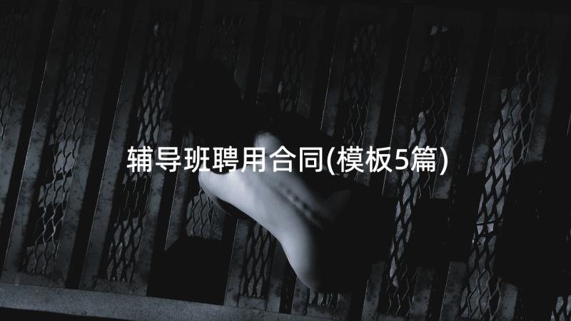 辅导班聘用合同(模板5篇)