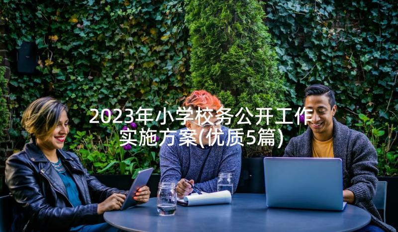 2023年小学校务公开工作实施方案(优质5篇)