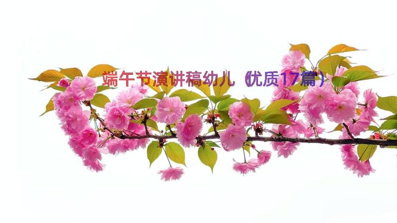 端午节演讲稿幼儿（优质17篇）