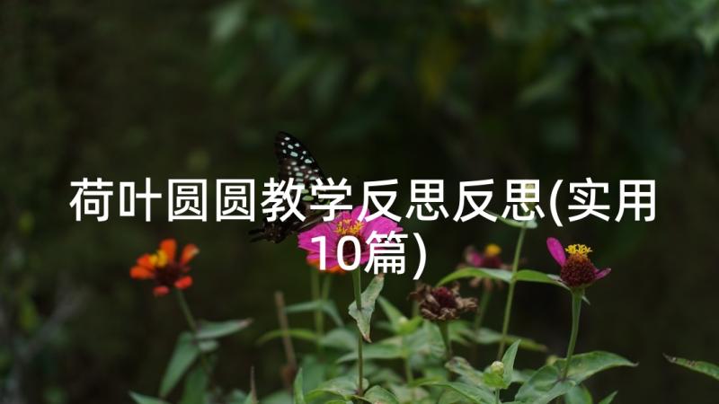 荷叶圆圆教学反思反思(实用10篇)