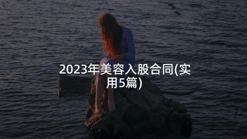 2023年美容入股合同(实用5篇)