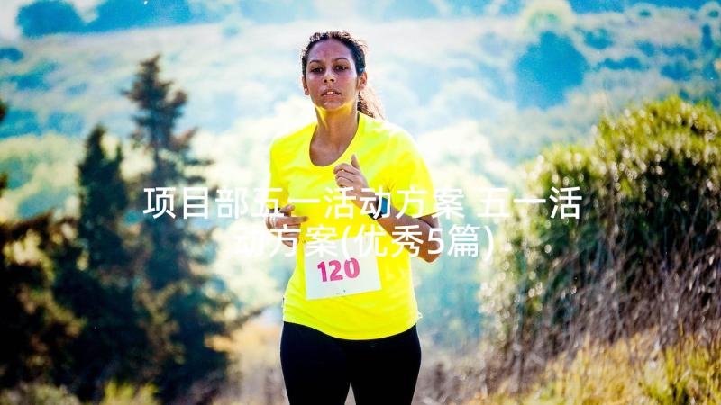 项目部五一活动方案 五一活动方案(优秀5篇)