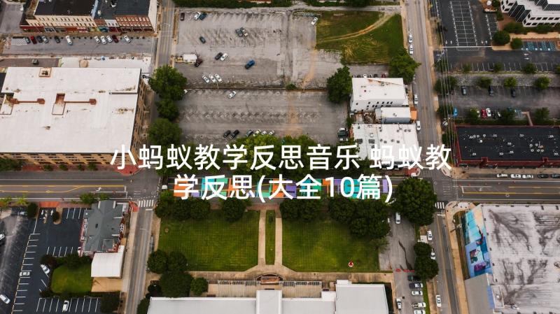 小蚂蚁教学反思音乐 蚂蚁教学反思(大全10篇)