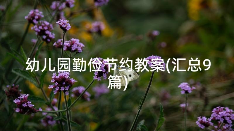 幼儿园勤俭节约教案(汇总9篇)