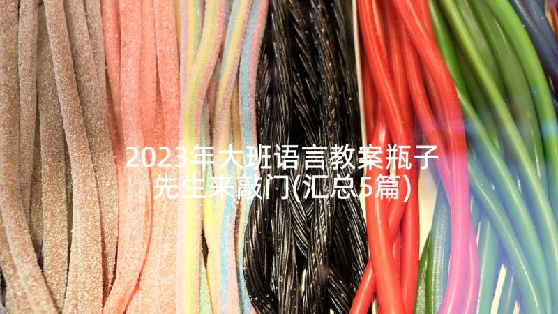 2023年大班语言教案瓶子先生来敲门(汇总5篇)