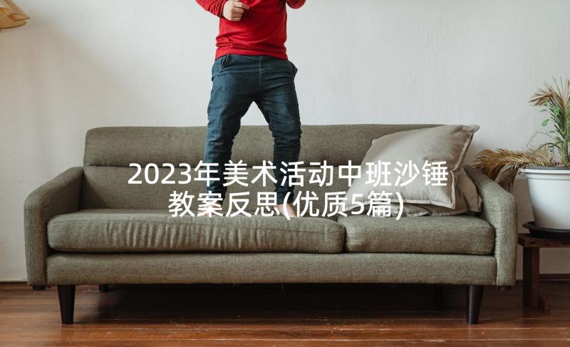 2023年美术活动中班沙锤教案反思(优质5篇)