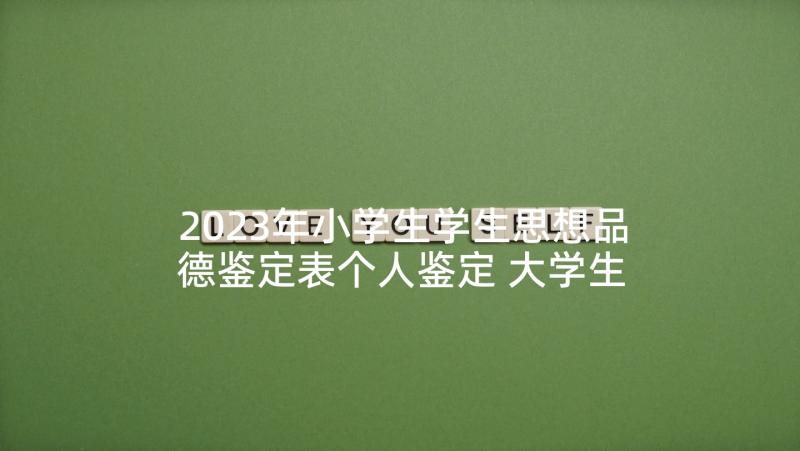 2023年小学生学生思想品德鉴定表个人鉴定 大学生思想品德自我鉴定(精选6篇)