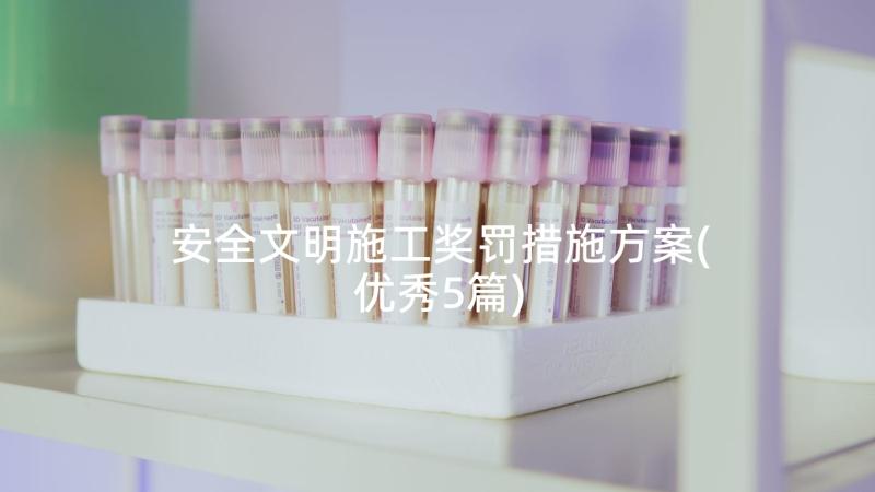 安全文明施工奖罚措施方案(优秀5篇)