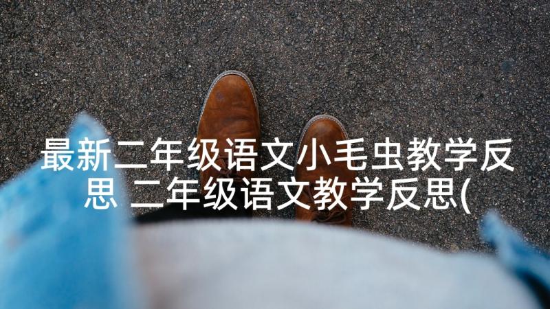 最新二年级语文小毛虫教学反思 二年级语文教学反思(实用8篇)