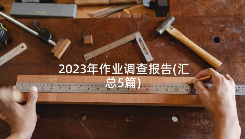 2023年作业调查报告(汇总5篇)