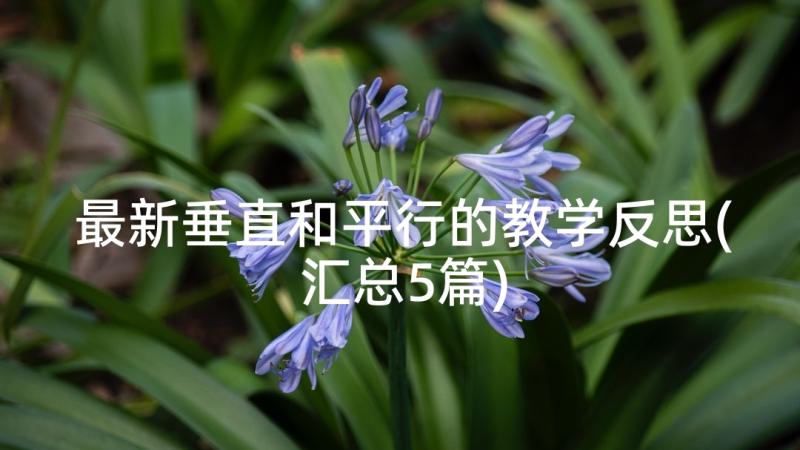 最新垂直和平行的教学反思(汇总5篇)