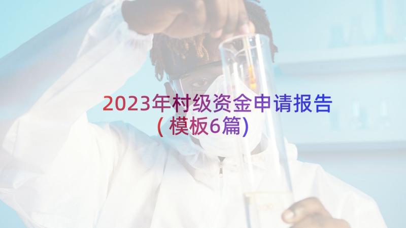 2023年村级资金申请报告(模板6篇)