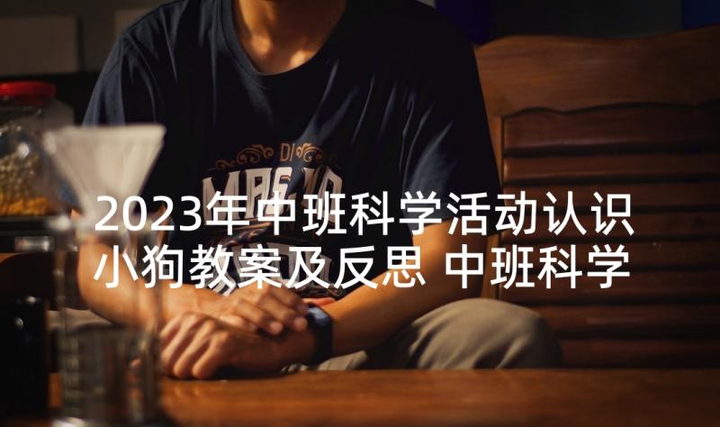 2023年中班科学活动认识小狗教案及反思 中班科学活动认识水资源教案(模板5篇)