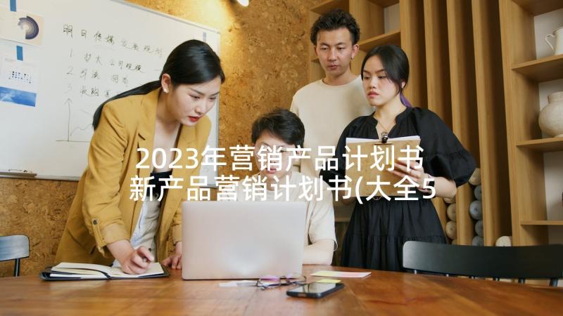 2023年营销产品计划书 新产品营销计划书(大全5篇)