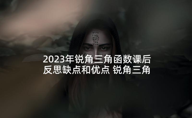 2023年锐角三角函数课后反思缺点和优点 锐角三角函数教学反思(精选5篇)