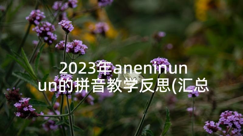 2023年aneninunun的拼音教学反思(汇总9篇)