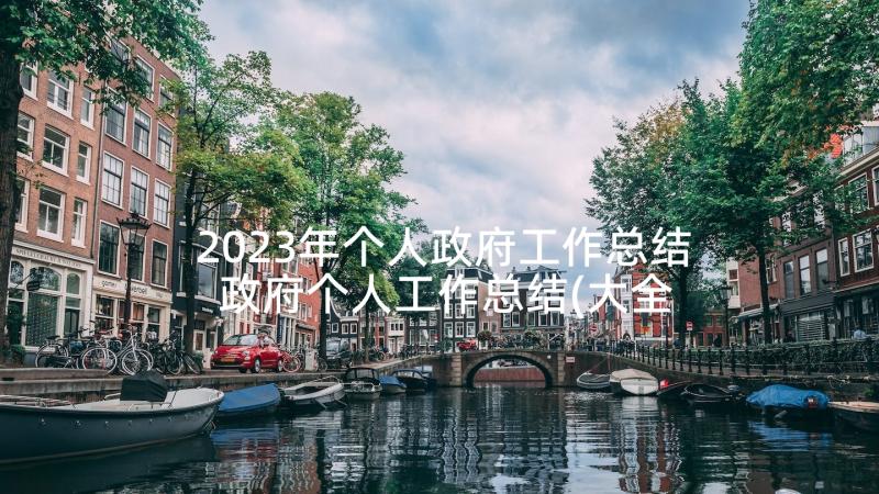 2023年个人政府工作总结 政府个人工作总结(大全5篇)